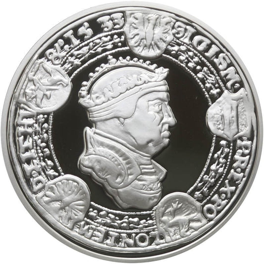 Replika Talar Zygmunta I Starego, platerowana