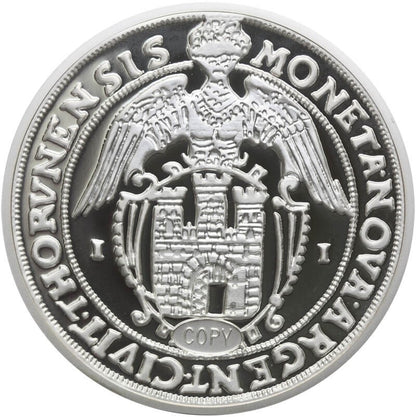 Replika  Bezkrólewie, Talar Toruński 1632, platerowana